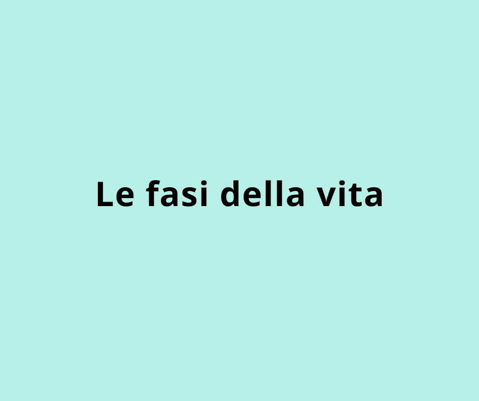 Le fasi della vita