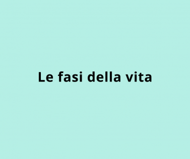 Le fasi della vita